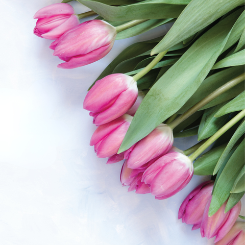 Avril chez Liv : un mois à ne pas manquer !✨