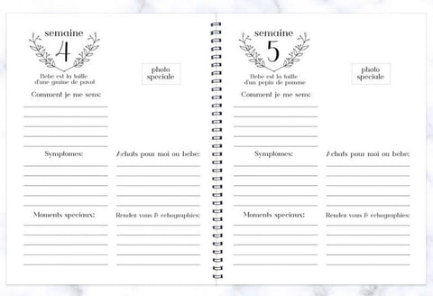 Journal De Grossesse Feuillage Eucalyptus