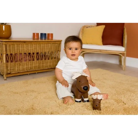 Mon Petit Ami Bruce L’élan