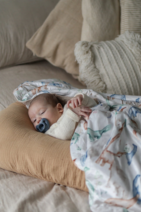 Couvertures Minky Dino Bleu