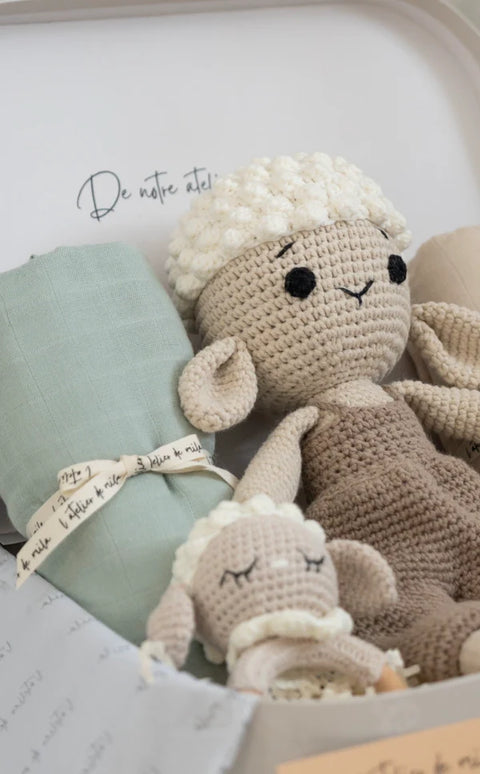 Coffret Sublime Hector (8 Pièces)