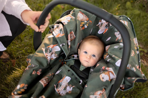 Poncho Pour L’auto Hérisson