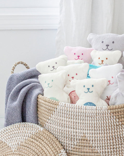 Ourson Thérapeutique Renaud Dinosaures