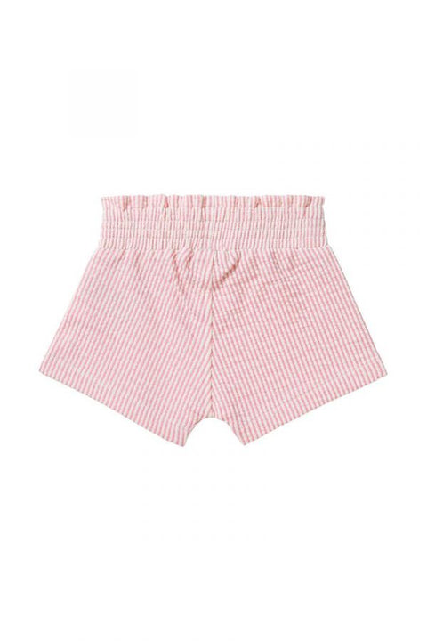 Short Centralia Camelia Rose