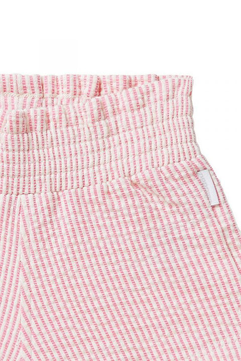 Short Centralia Camelia Rose