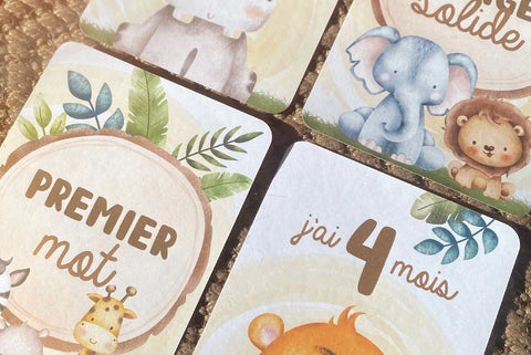 Cartons De Naissance Mini Safari