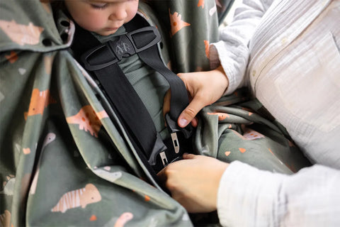 Poncho Pour L’auto Dinosaures Sauges