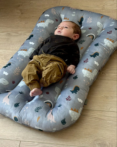 Petits Coussins Dino Gris