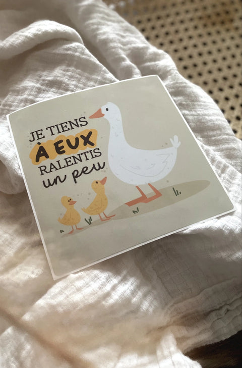 Autocollant Voiture « Je Tiens À Eux Ralentis Un Peu » Oies