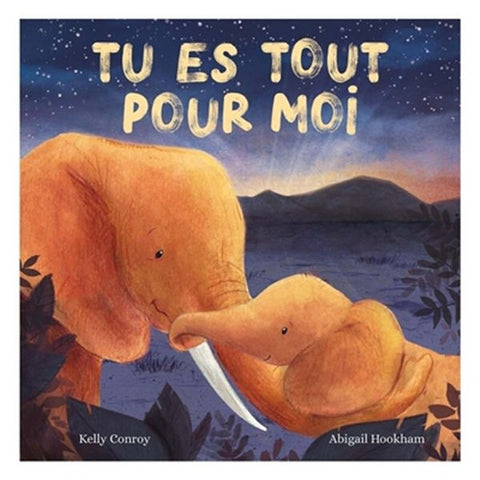 Livre Tu es Tout Pour Moi
