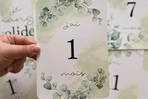 Cartons De Naissance Eucalyptus