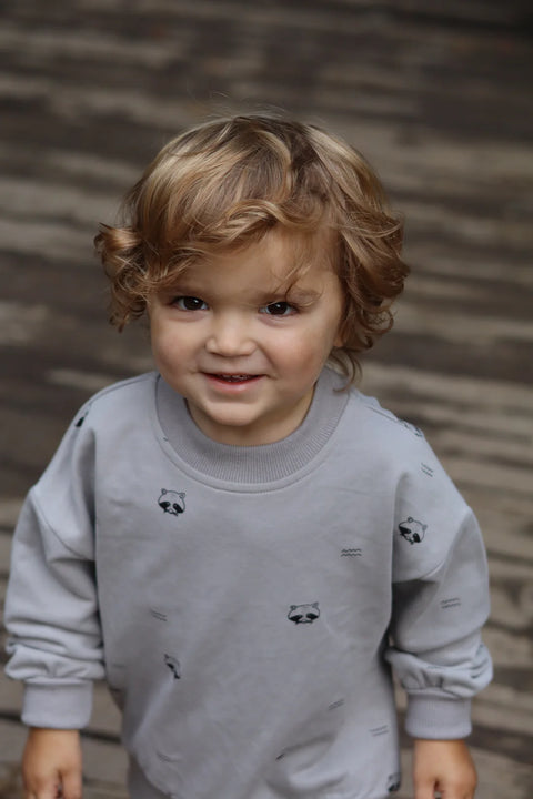 Crewneck Évolutif Gris Motif Ratons Laveurs