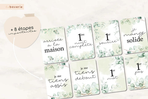 Cartons De Naissance Eucalyptus