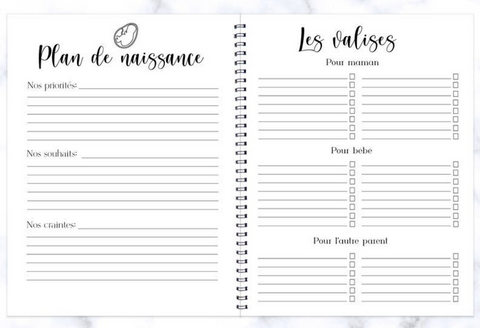 Journal De Grossesse Douces Fleurs