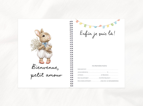 Livre De Bébé Pierre Lapin