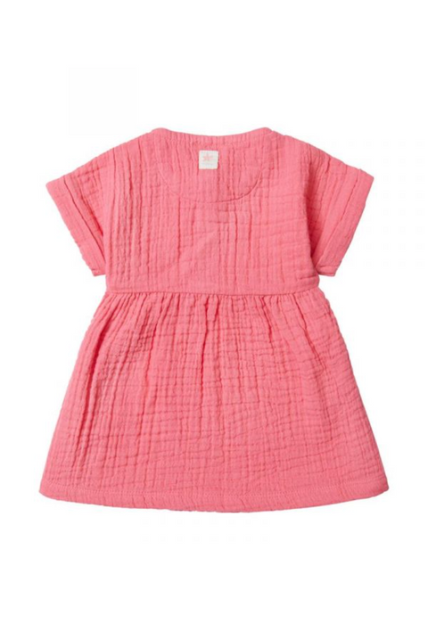 Robe Manches Courtes Chambery Camelia Rose