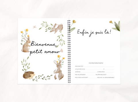 Livre De Bébé Petits Copains De La Forêt