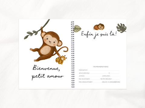 Livre De Bébé Petits Copains De La Jungle