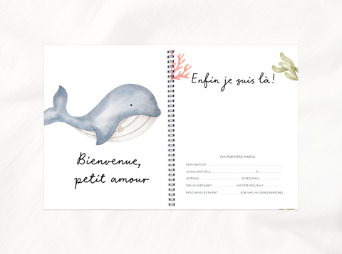 Livre De Bébé Petits Copains De La Mer