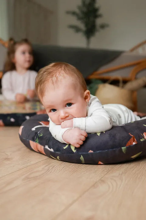 Petits Coussins Paresseux