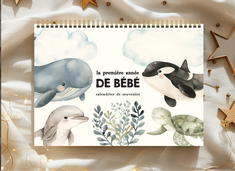 Calendriers De Première Année De Bébé Animaux Marins