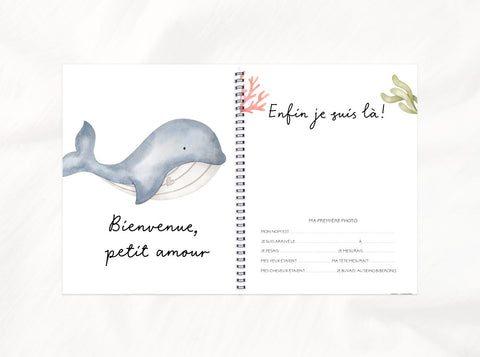 Livre De Bébé Petits Copains De La Mer