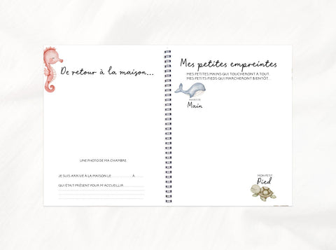 Livre De Bébé Petits Copains De La Mer