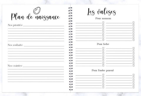 Journal De Grossesse Abstrait