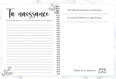 Journal De Grossesse Abstrait