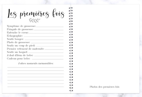 Journal De Grossesse Marguerites Pastels Rétro