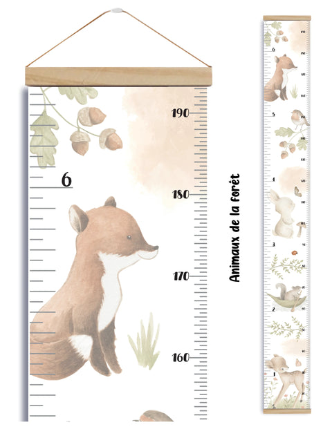 Échelle De Croisance Avec Cadre Animaux De La Forêt